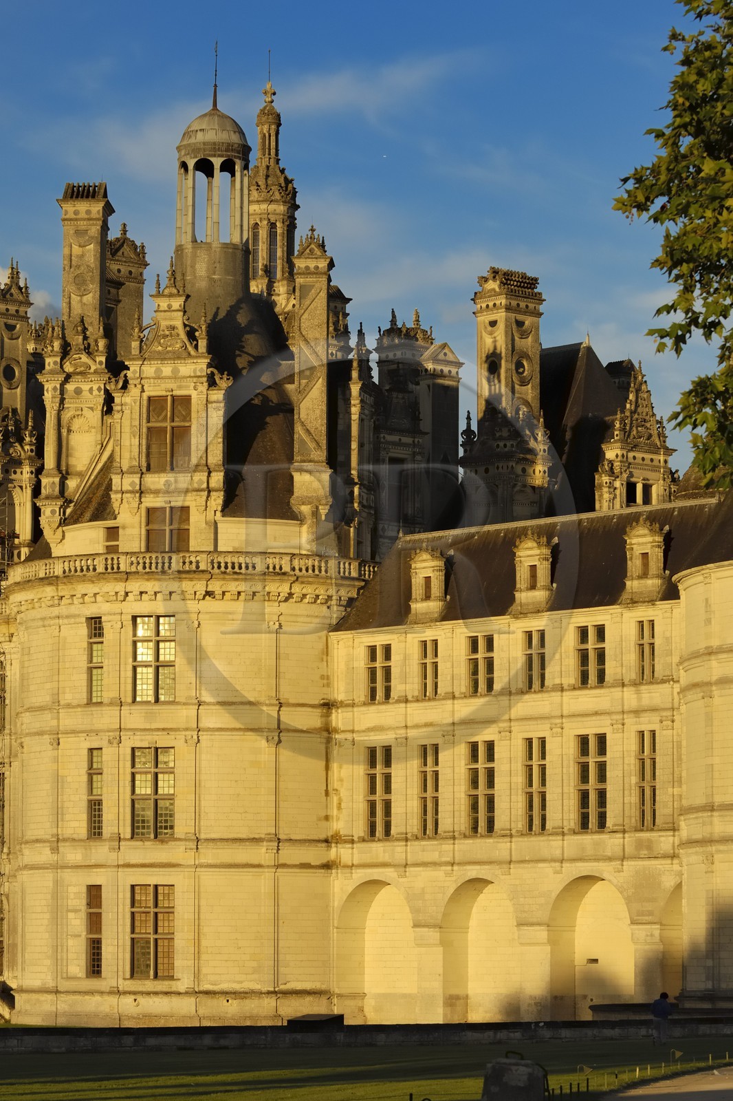 France, Loir et Cher (41), Vallée de la Loire classée Patrimoine Mondial de l' UNESCO, château de Chambord