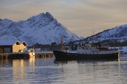 Norvège, Nordland, iles des Westeralen, port de Myre, le bateau Leonora pour l'observation des baleines