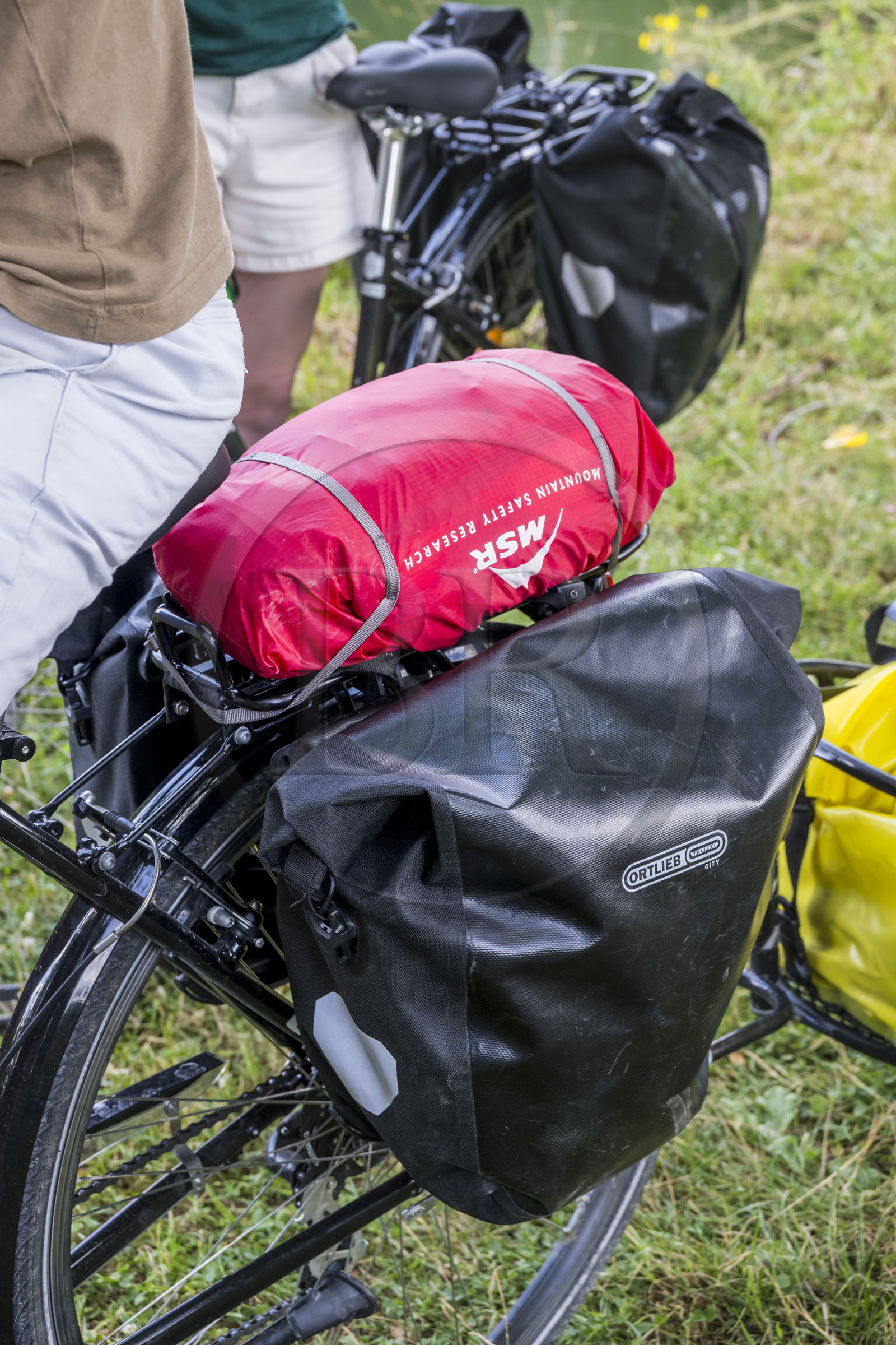 France, Deux-Sèvres, le Marais Poitevin, Green Venice, bicycle designed for touring (detail)