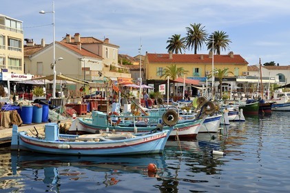 France, Var (83), Six-Fours-les-Plages, Le Brusc, barques de pêche traditionnelles emblématiques de la Provence méditerranéenne appelées Pointu