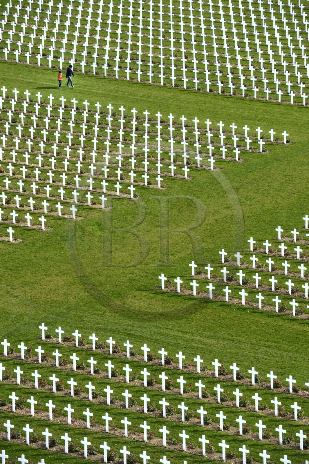 France, Meuse (55), Douaumont, bataille de Verdun, ossuaire de Douaumont, nécropole nationale, alignement de tombes de soldats