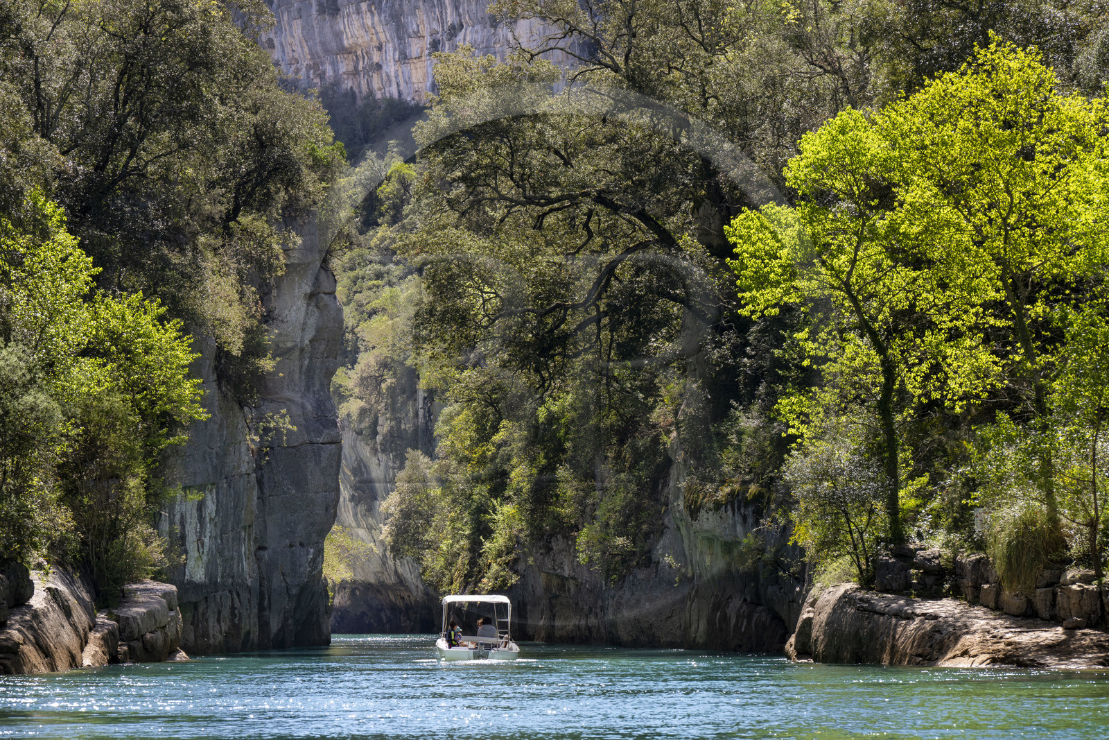 Var (83) rive gauche et Alpes-de-Haute-Provence (04) rive droite, Parc Naturel Régional du Verdon, Basses Gorges du Verdon en aval du lac de Sainte Croix, découverte en bateau électrique des gorges de Baudinard