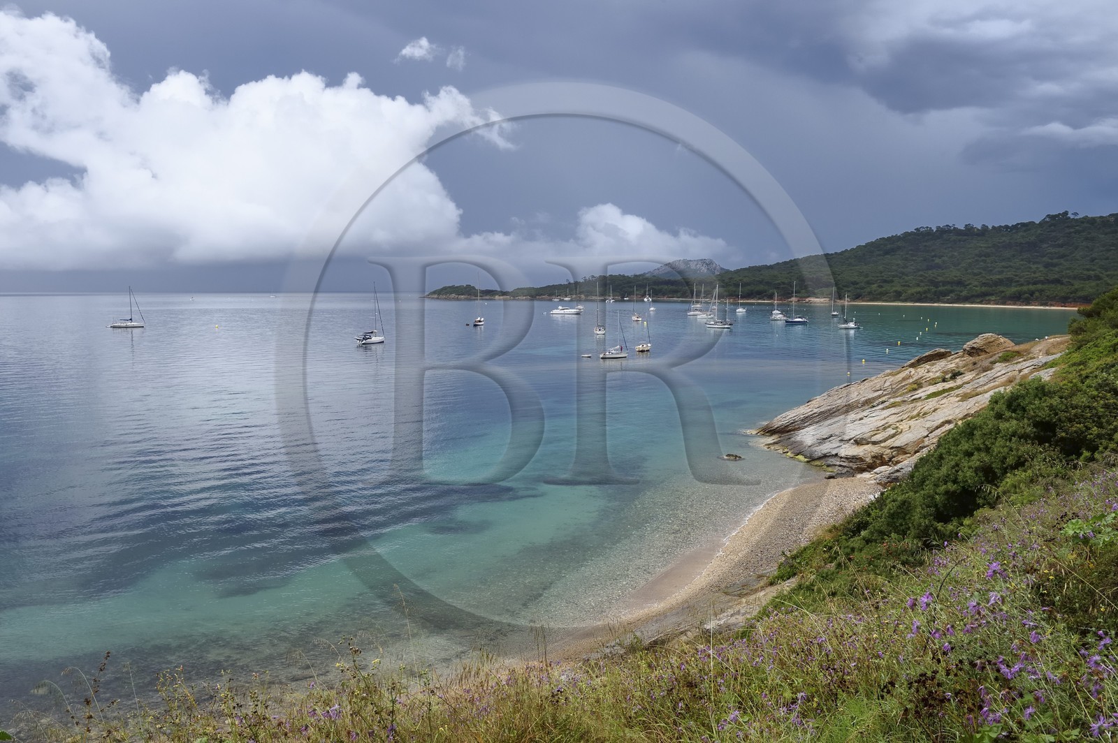 France, Var (83), Iles d'Hyères, parc national de Port Cros, Ile de Porquerolles, plage de la Courtade