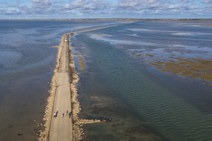 France, Vendée (85), île de Noirmoutier, Barbatre, cyclistes sur le passage du Gois à marée montante, chaussée submersible qui relie l'île au continent à marrée basse (vue aérienne)