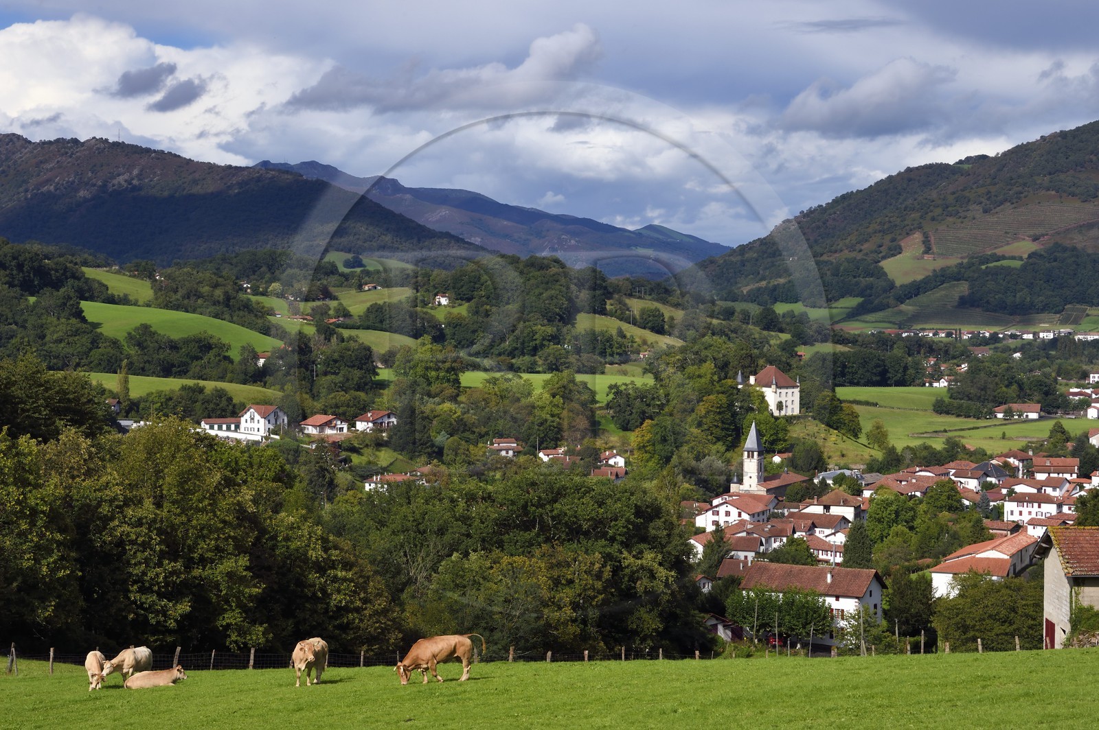 France, Pyrénées-Atlantiques (64), Pays-Basque, le village de Saint-Etienne-de-Baïgorry et le chateau d'Etxauz en arrière plan