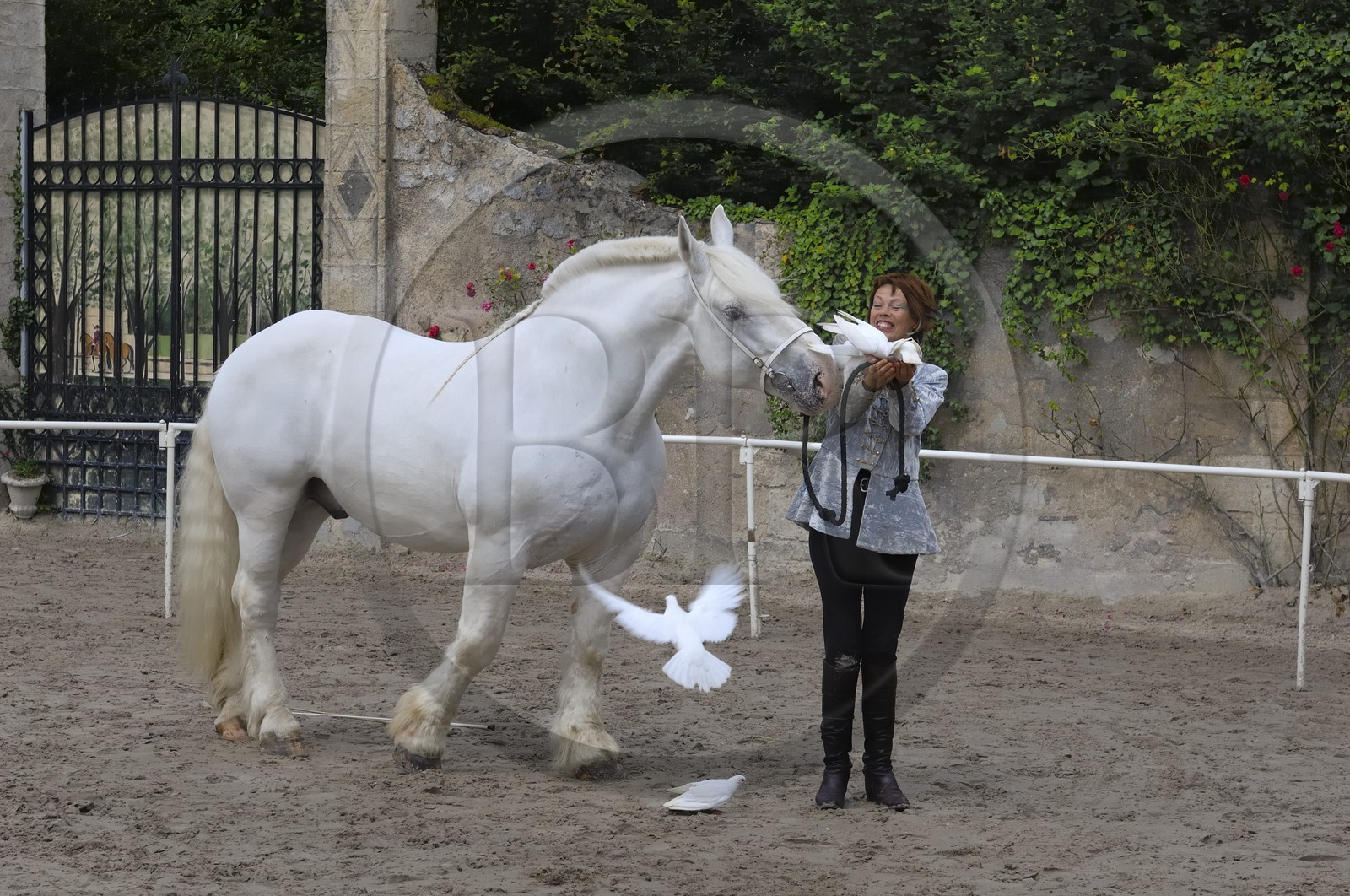 France, Loir et Cher (41), château de Chambord, spectacle d' Art équestre