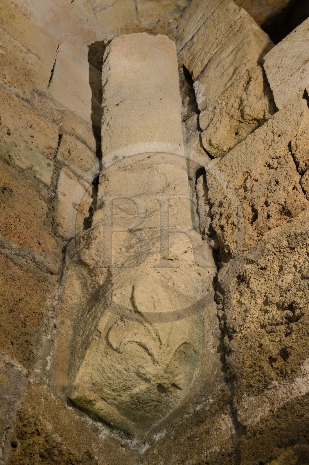 Israel, district Nord, Galilée, Acre (Akko), vieille ville, classée Patrimoine Mondial de l'UNESCO, la citadelle des Hospitaliers, le refectoire ou salle des chevaliers, fleur de Lys