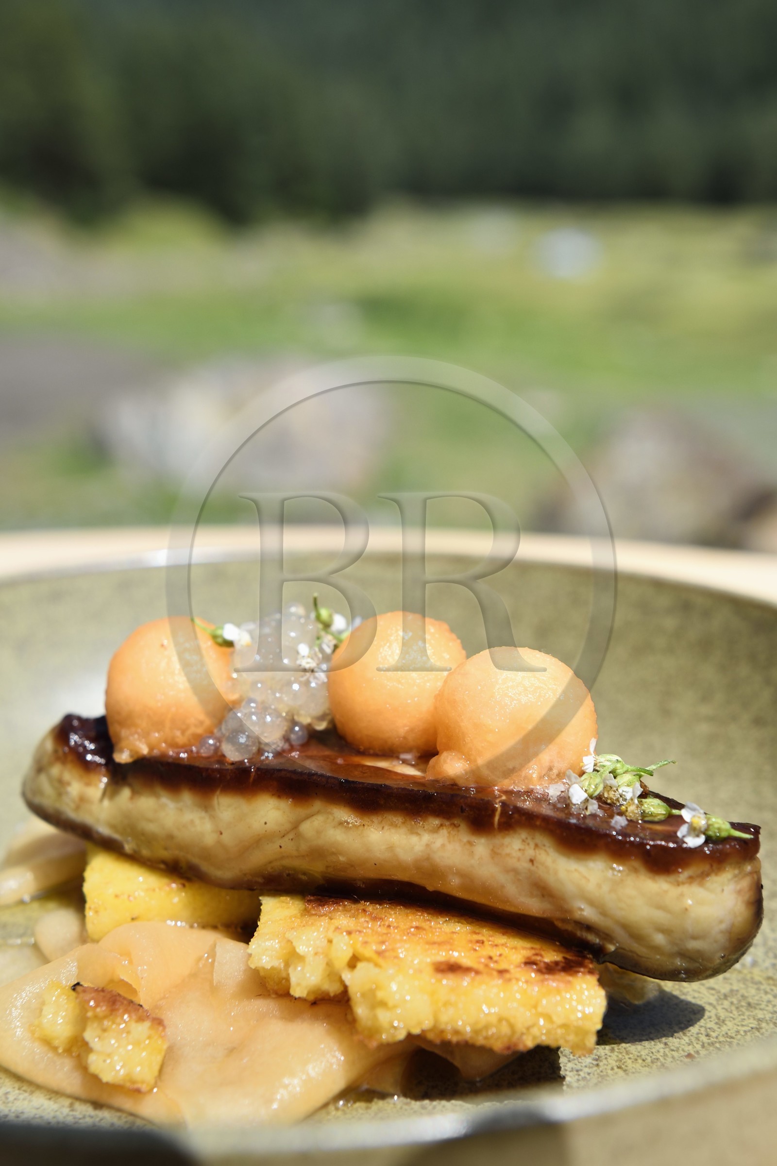France, Hautes-Pyrénées (65), Saint-Lary-Soulan, vallée du Rioumajou, l'hospice du Rioumajou devenu refuge et restaurant, foie gras poêlé