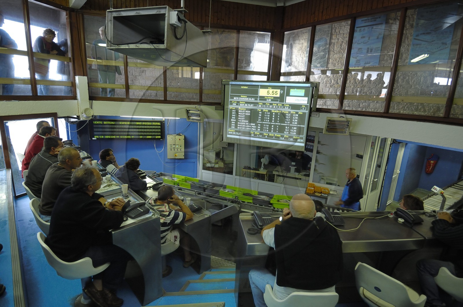 France, Charente-Maritime (17), Ile d'Oléron, port de la Cotinière, la criée