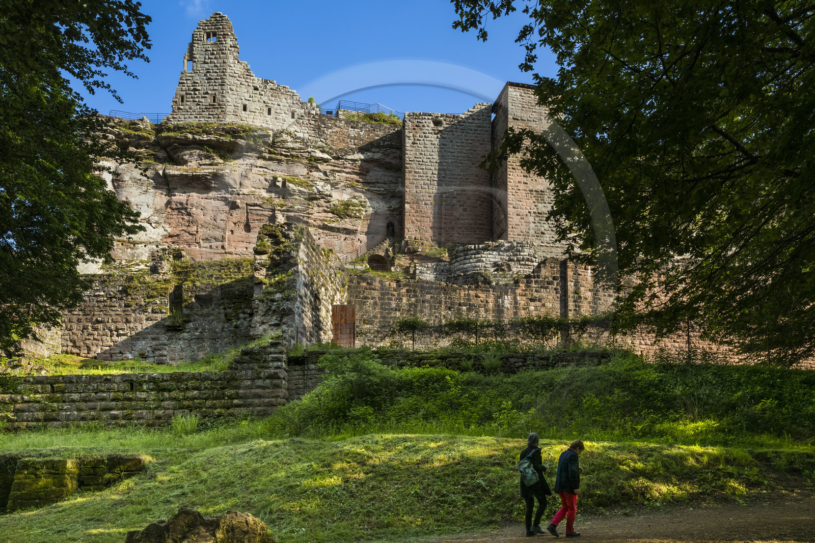France, Bas-Rhin (67), Parc naturel régional des Vosges du Nord, Lembach, ruines du chateau de Fleckenstein