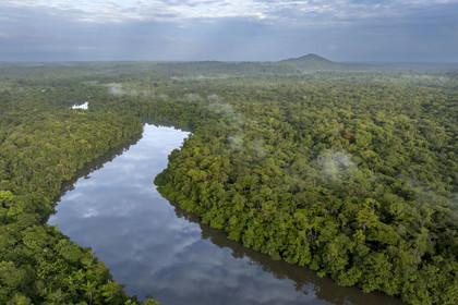France, French Guiana, Kourou, Camp Maripas, the Kourou River flowing through the rainforest and Monkey Mountain (161 meters altitude) in the background (aerial view)