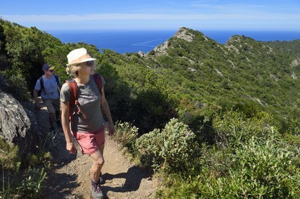 France, Var (83), Six-Fours-les-Plages, randonnée dans le massif du Cap Sicié, randonneurs sur le sentier des cretes de Roumagnan
