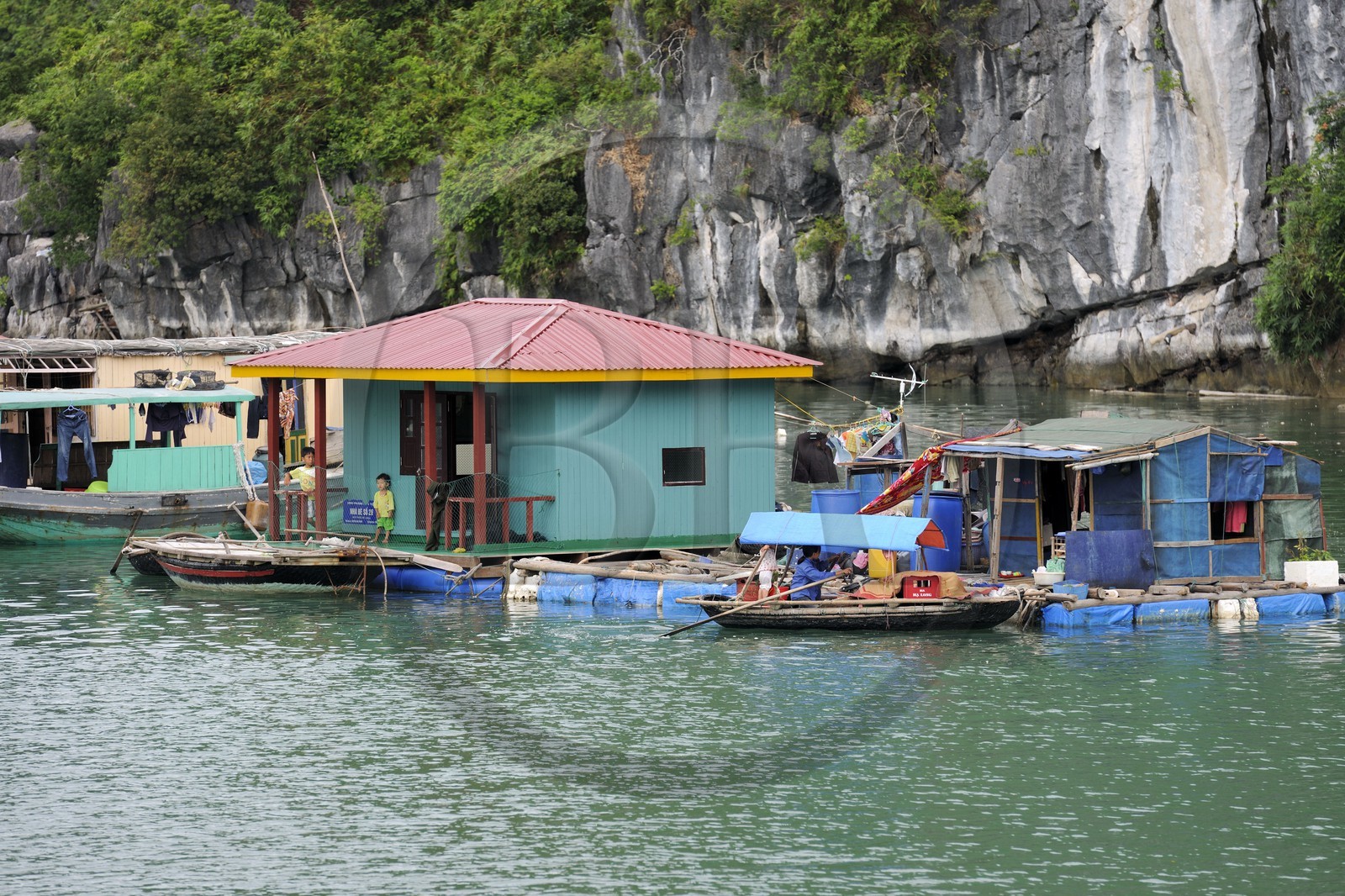 Vietnam, province de Quang Ninh, la Baie d'Halong classée Patrimoine Mondial de l'UNESCO, village flottant de pêcheurs de Vong Vieng