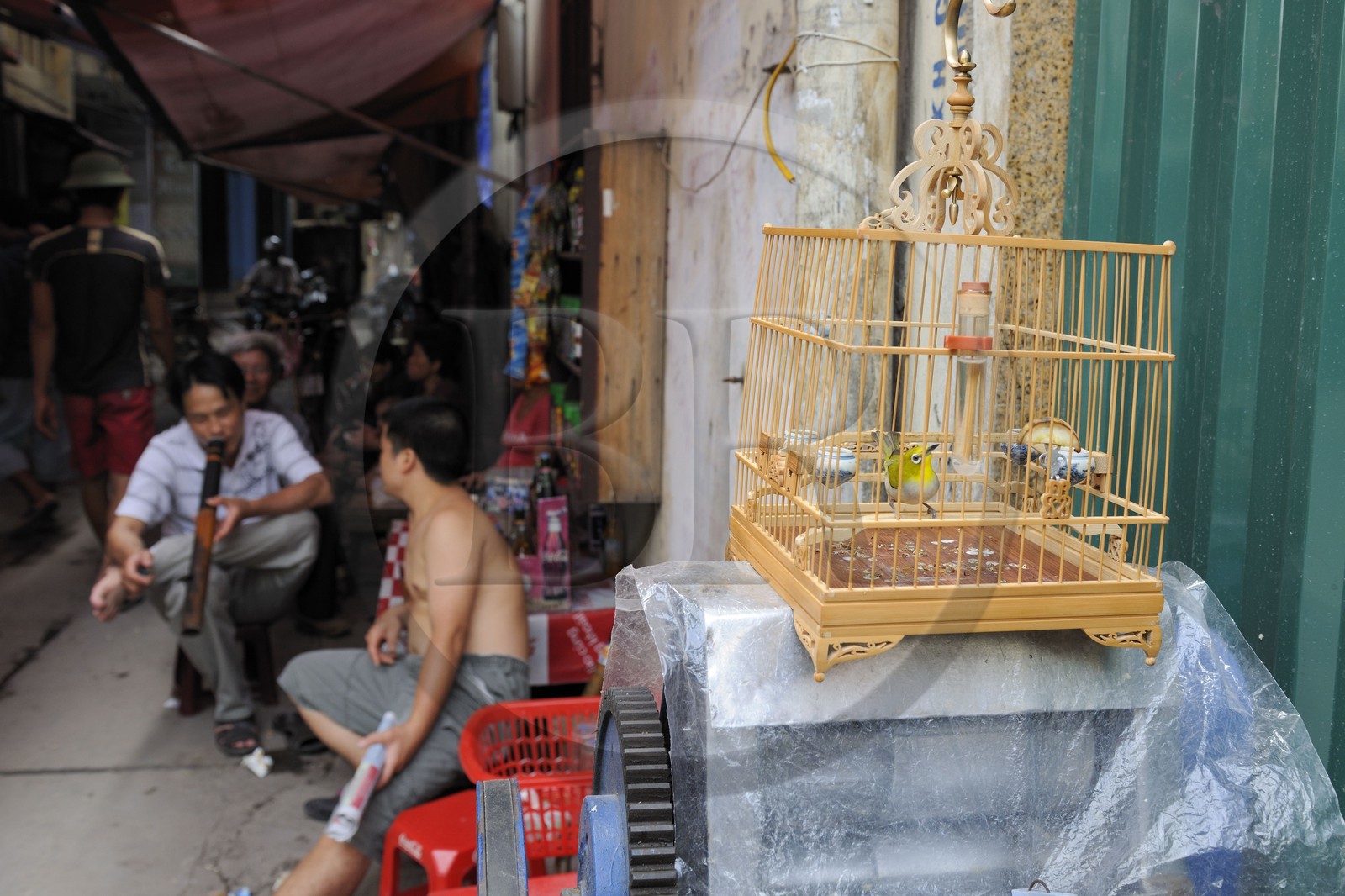 Vietnam, Hanoï, quartier des 36 rues dans la vieille ville, oiseau en cage et fumeur de pipe