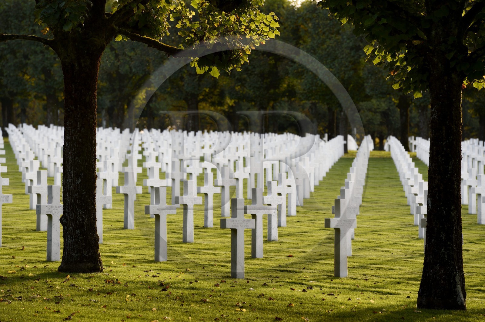 France, Meuse (55), le cimetière américain de Romagne-sous-Montfaucon, 14 246 américains ayant combattu lors de la Première Guerre mondiale y sont enterrés