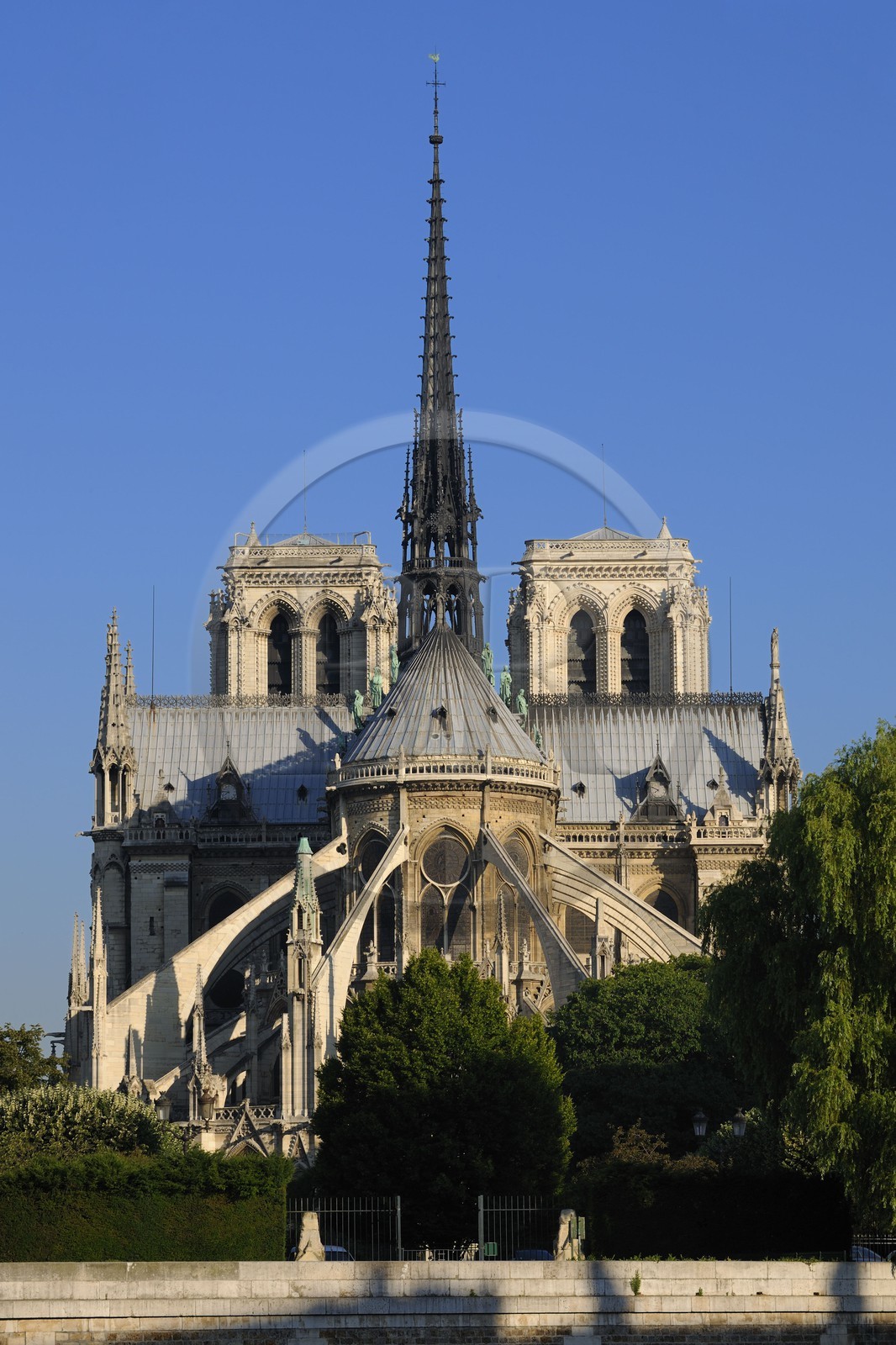 France, Paris (75), Ile de la Cité, cathédrale Notre-Dame de Paris