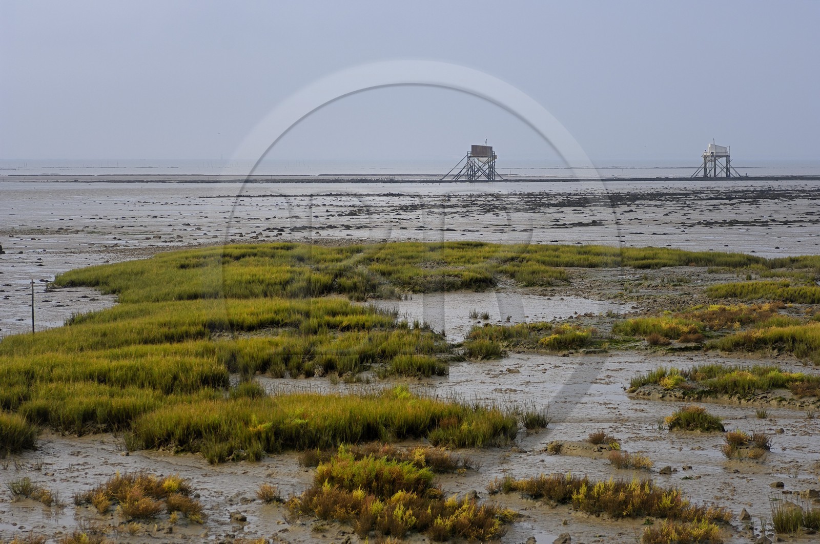 France, Charente-Maritime (17), Ile Madame, carrelets sur la côte