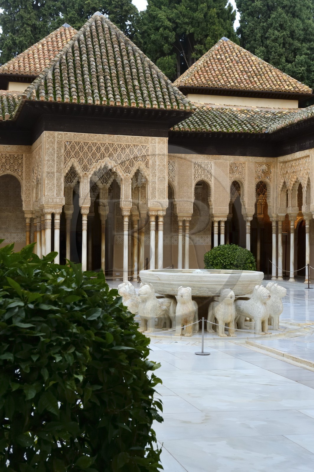 Espagne, Andalousie, Grenade, Palais nasrides de l'Alhambra, classé Patrimoine Mondial de l'UNESCO, patio du Palais des Lions (Patio de los Leones)