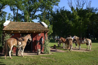 Argentine, province de Buenos Aires, San Antonio de Areco, estancia La Bamba de Areco, gauchos se préparant au départ