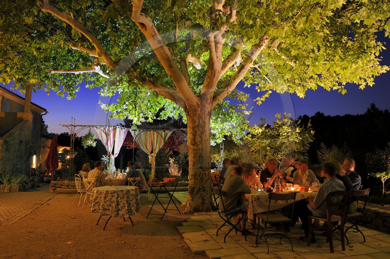 France, Var, Provence Verte (Green Provence), Bras village next to Saint Maximin, Le Peyrourier Bed & Breakfast une campagne en Provence, evening dinner on the terrace