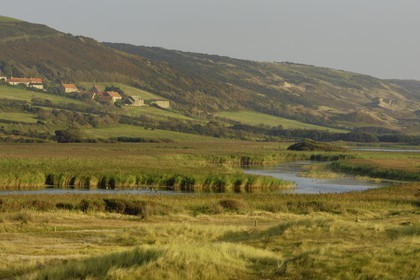 France, Manche (50), Cap de la Hague, dunes de l'anse de Vauville, la mare de Vauville