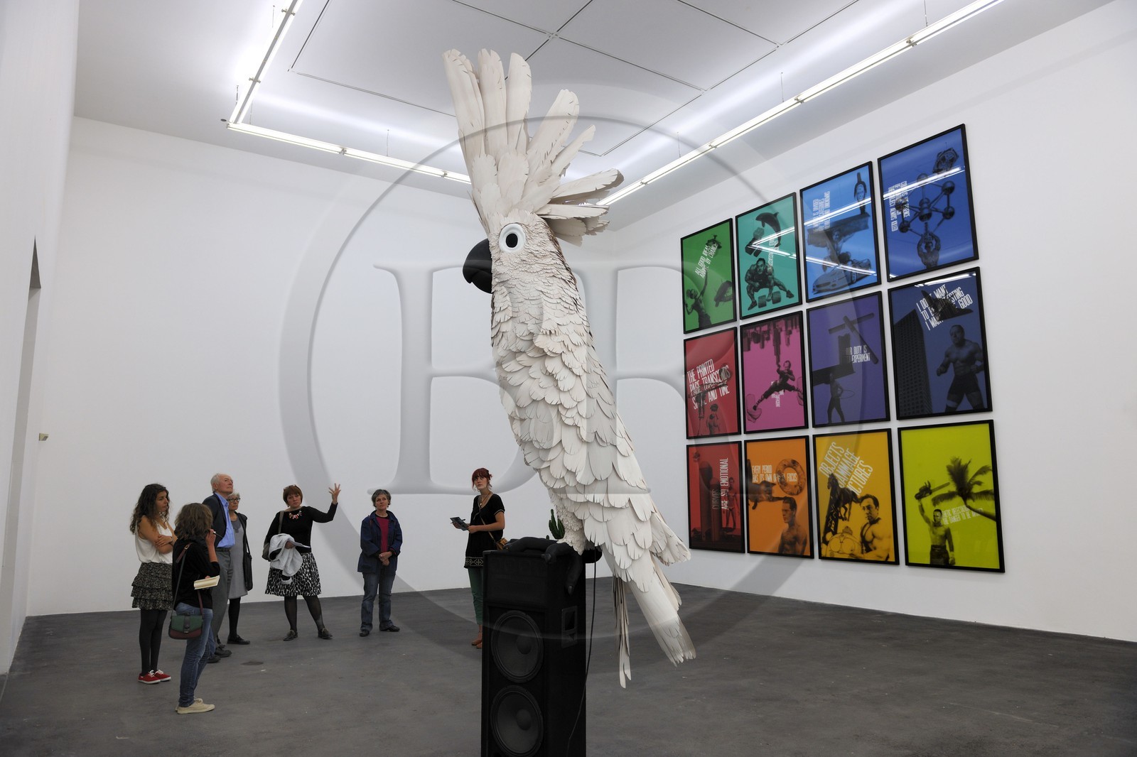 France, Hérault (34), Sète, Centre régional d'art contemporain (CRAC), oeuvres de Sylvain Rousseau