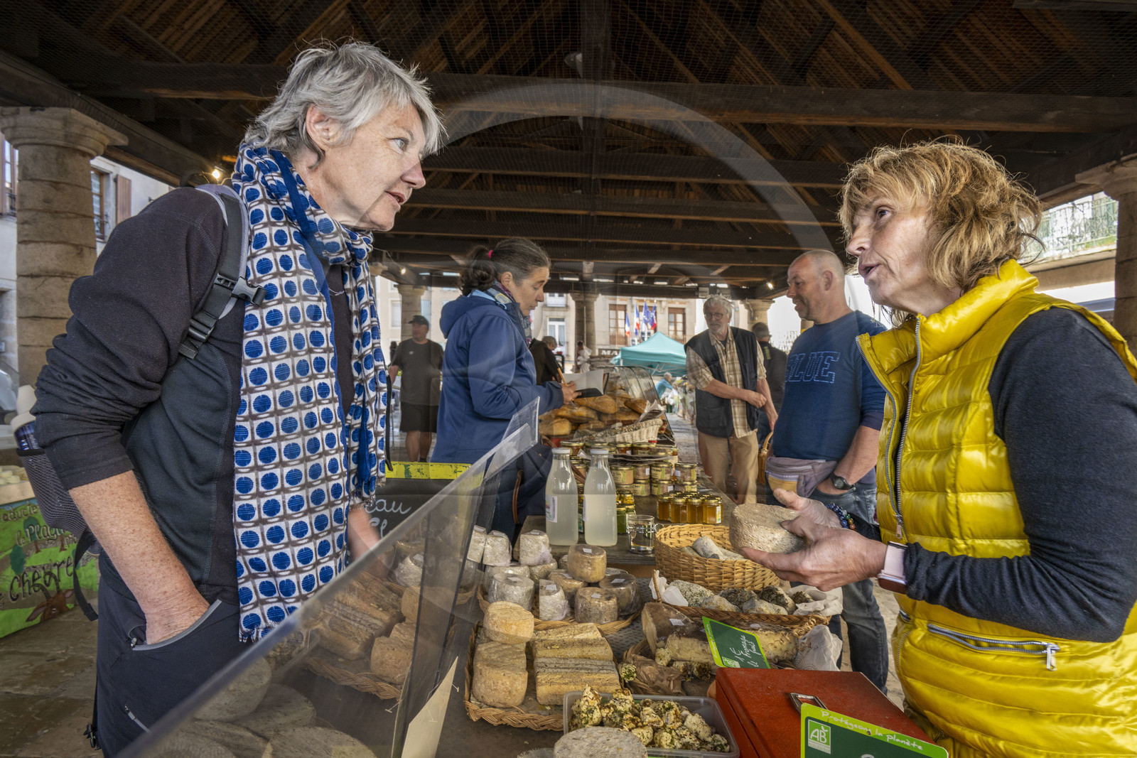 France, Lozere, Langogne, the market under the Halle aux grains, organic farmhouse cheeses made with raw milk Lou Prat d'Estébé by Cathy and Michel Dupire