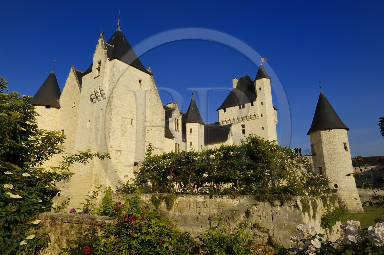 France, Indre et Loire, Chateau du Rivau