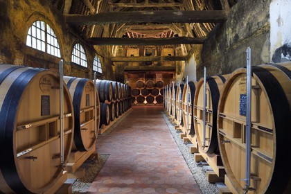 France, Calvados (14), Pays d'Auge, Le Breuil-en-Auge, Chateau du Breuil producteur de Calvados AOC Pays d’Auge, tonneaux dans les chais de vieillissement