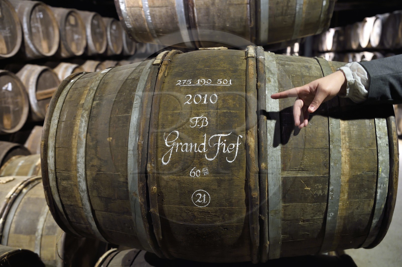 France, Charente (16), Cognac, les chais de vieillissement de la Maison de cognac Hennessy, tonneaux calligraphiés à l'ancienne à la craie