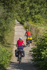 France, Maine-et-Loire (49), vallée de la Loire classée au Patrimoine Mondial par l'UNESCO, Saumur vers Saint-Hilaire, randonnée à bicyclette sur les berges de la Loire France, Maine-et-Loire, Loire valley listed as World Heritage by UNESCO, Saumur towards Saint-Hilaire, cycling on the banks of the Loire