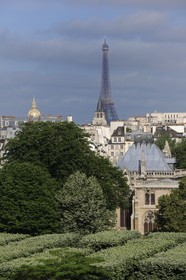 France, Paris (75), la tour Eiffel et un des bâtiments de la cathédrale Notre Dame au premier plan