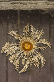 France, Aveyron, Causses and the Cévennes, cultural landscape of Mediterranean agro-pastoralism, listed as World Heritage by UNESCO, Sainte-Eulalie-de-Cernon on the road to Santiago de Compostela, stemless carline thistle adorning a house door