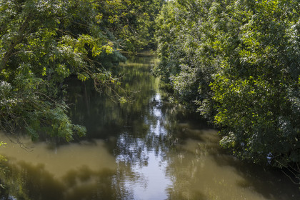 France, Deux-Sèvres (79), le Marais Poitevin, la Venise Verte, Le Vanneau-Irleau, un des innombrables canaux