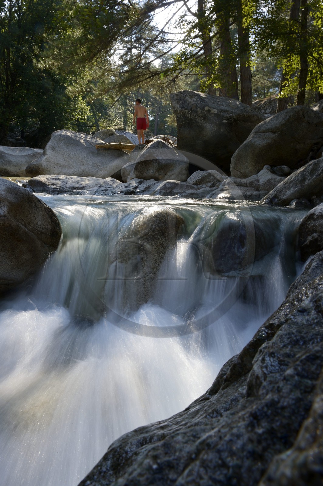 France, Haute-Corse (2B), Corte, Vallée de la Restonica