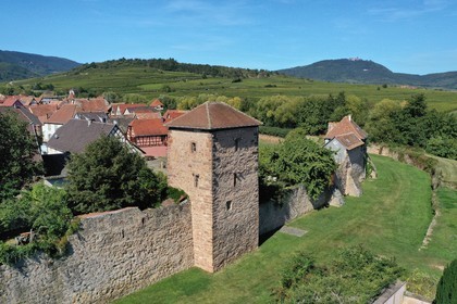 France, Haut-Rhin (68), Route des vins d'Alsace, Bergheim, ancienne cite m