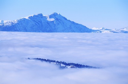 France, Haute-Savoie (74), domaine des portes du soleil, près de Morzine, sommet du Pleney émergeant de la brume