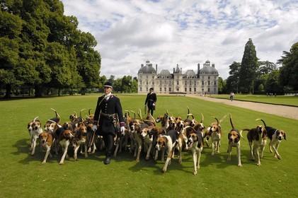 France, Loir-et-Cher (41), château de Cheverny, les piqueux Vol au Vent et La Rosée qui gèrent la meute de 90 chiens de chasse à cour