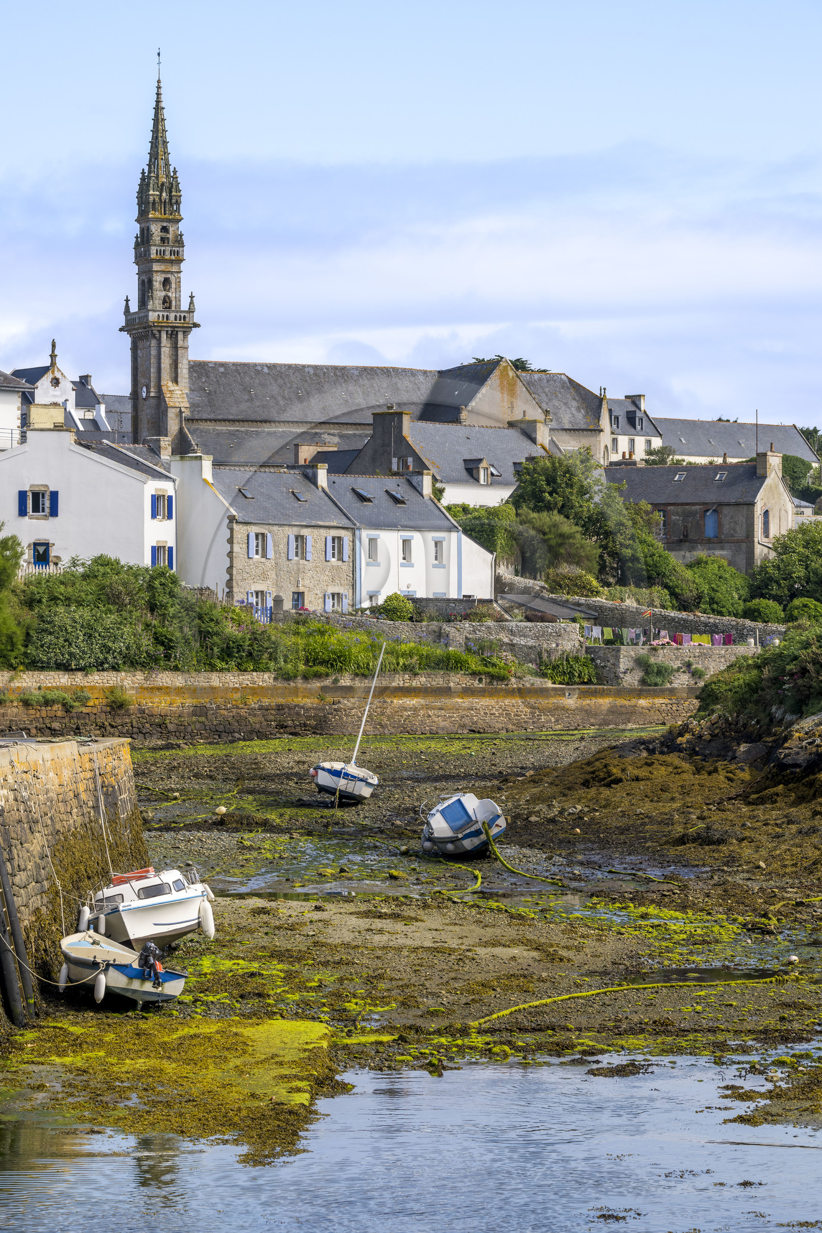 France, Finistère (29), Mer d'Iroise, Ile d'Ouessant, le port de Lampaul à marée basse