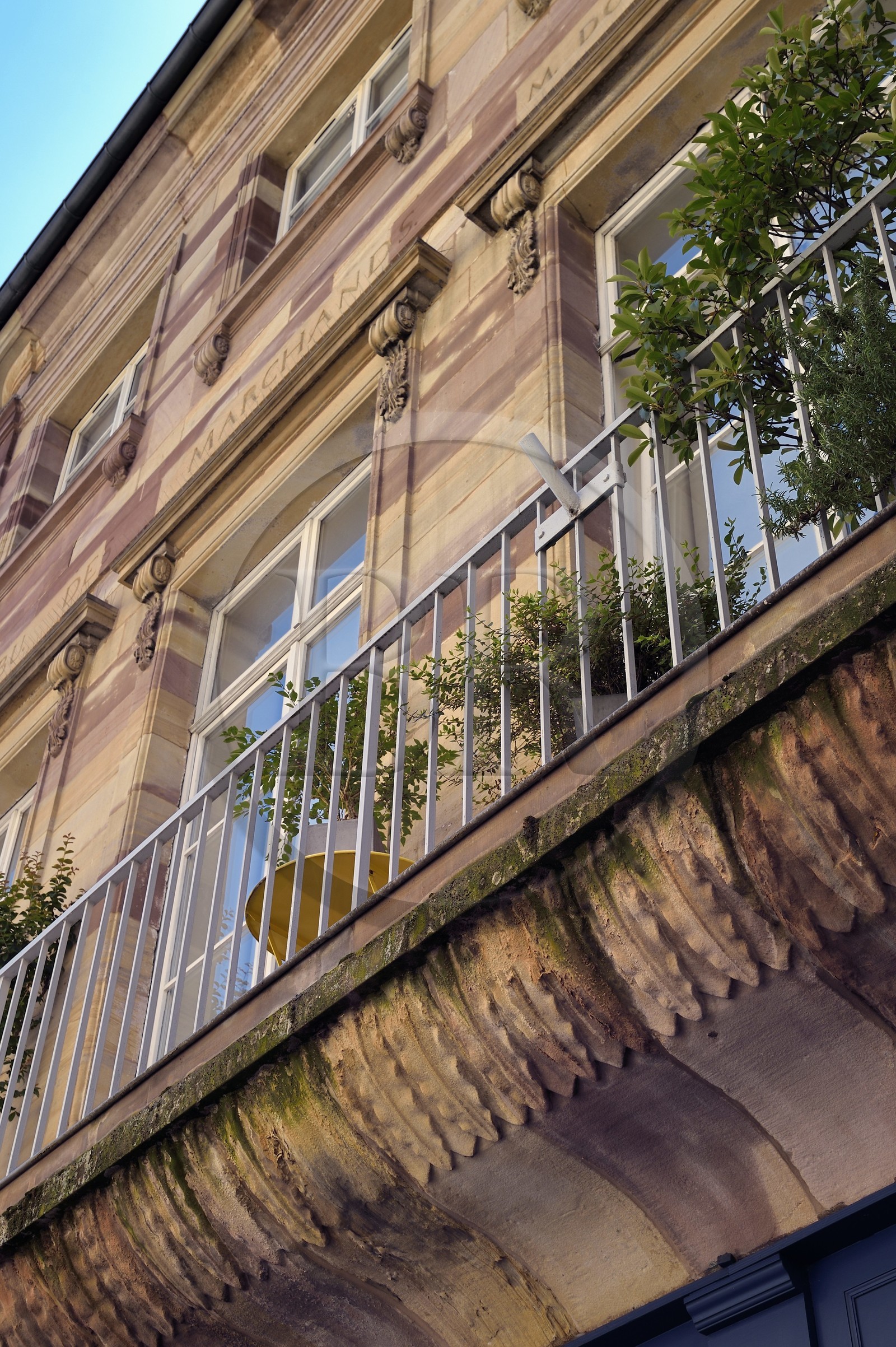 France, Bas-Rhin (67), Strasbourg, vieille ville classée au Patrimoine Mondial de l'UNESCO, maison rue gutenberg datant 1785 dont le propriétaire a fait fortune dans le commerce du tabac comme l'atteste les sculptures de feuilles de tabac sous le balcon