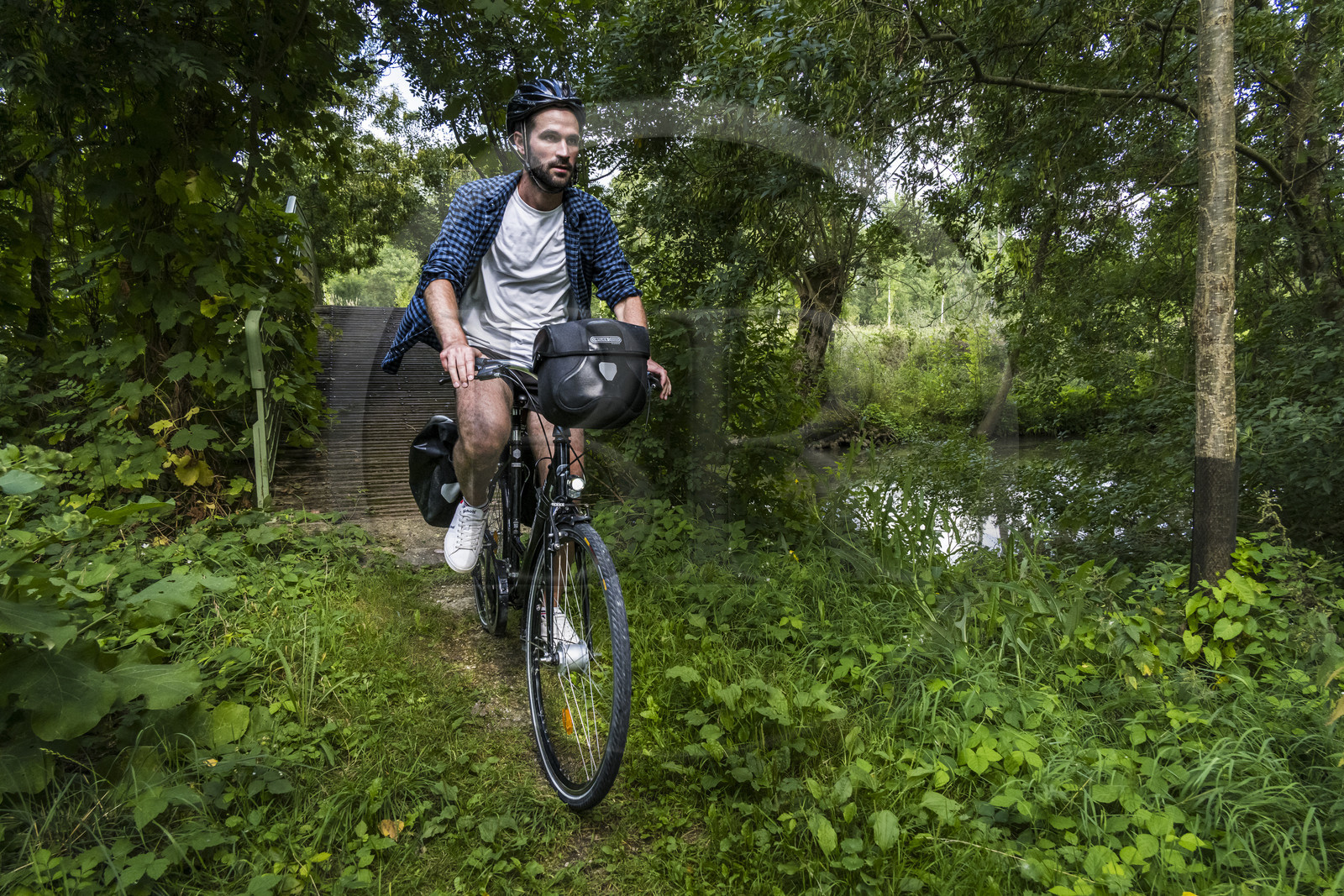 France, Deux-Sèvres (79), le Marais Poitevin, la Venise Verte, Le Vanneau-Irleau, randonnée à bicyclette le long des canaux et passage d'une passerelle