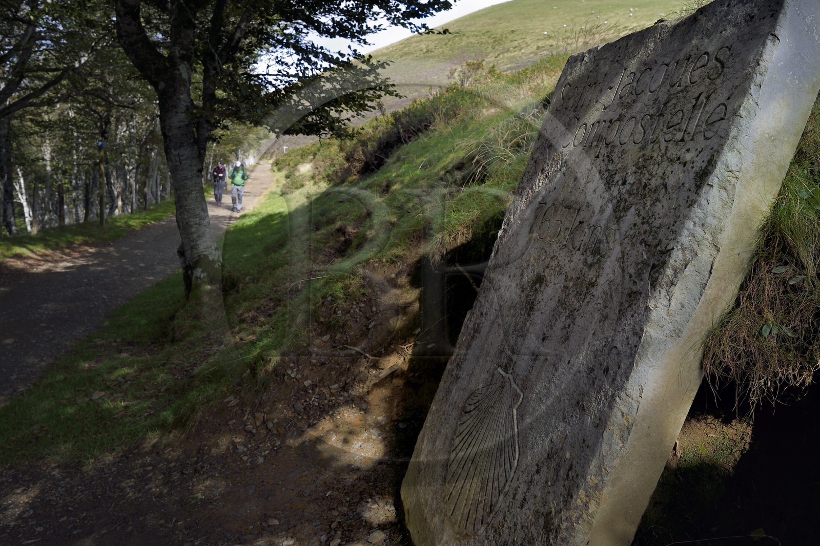France, Pyrénées-Atlantiques (64), Pays-Basque, chemin de Saint-Jacques de Compostelle sur le GR 65 entre Saint-Jean-Pied-de-Port et Roncevaux vers le col de Bentarte, pèlerins devant la stèle indiquant que Compostelle est encore à 765 km