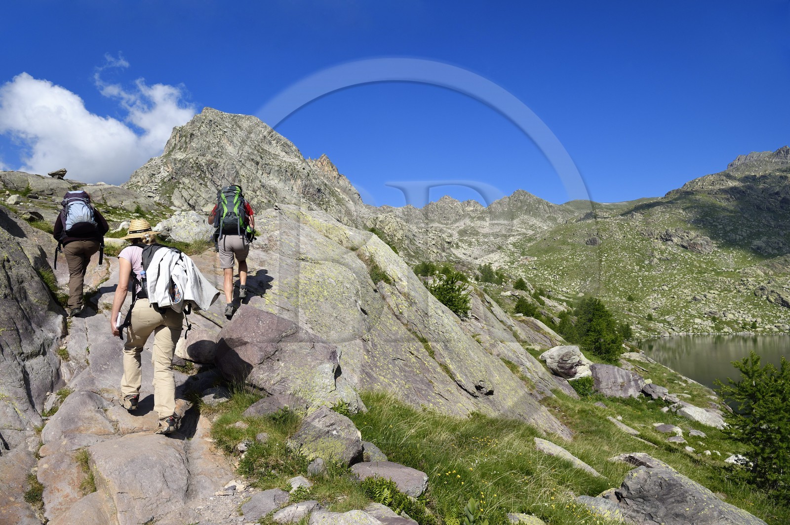 France, Alpes-Maritimes (06), parc national du Mercantour, Vallée des Merveilles parsemée de milliers de gravures rupestres de l'Age de bronze, sentier de randonnée qui longe le lac Long supérieur et la montagne Cime des Lacs (2510m) en arrière plan à gauche