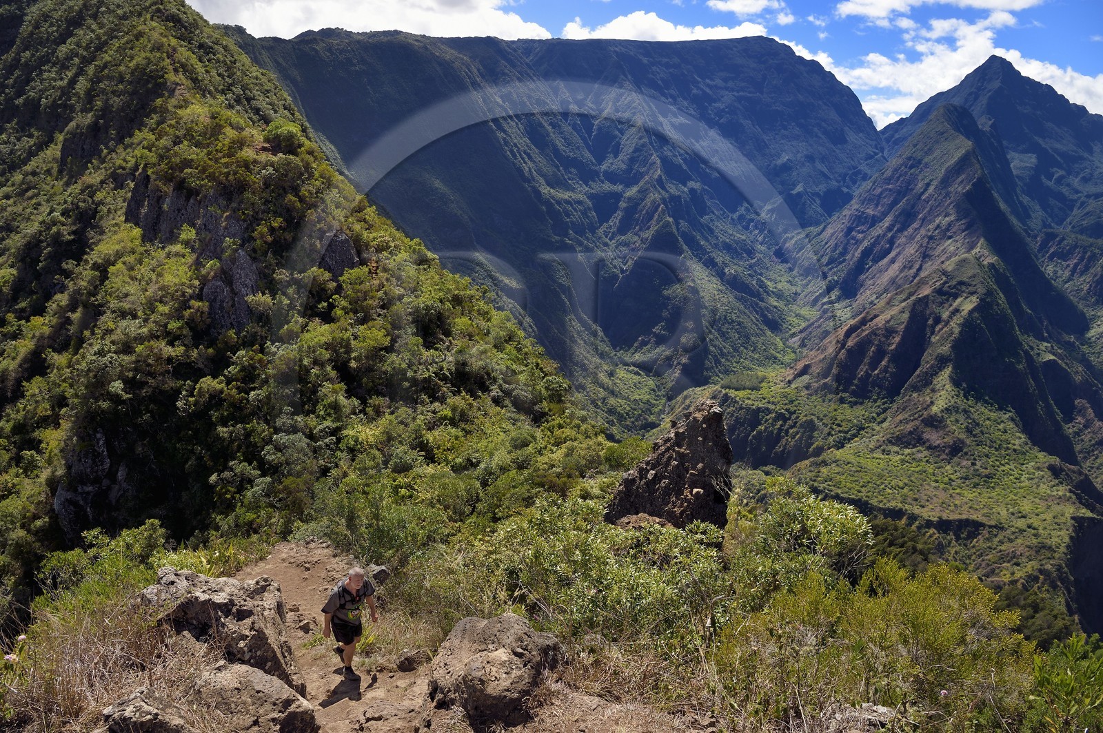 France, Ile de la Reunion, Parc National de la Réunion classé Patrimoine Mondial de l'UNESCO, La Possession, vers le village de Dos d'Ane, randonnée de la Roche Bouteille, randonneur sur le sentier Cap Noir et la Roche Bouteille devant le Cirque de Mafate
