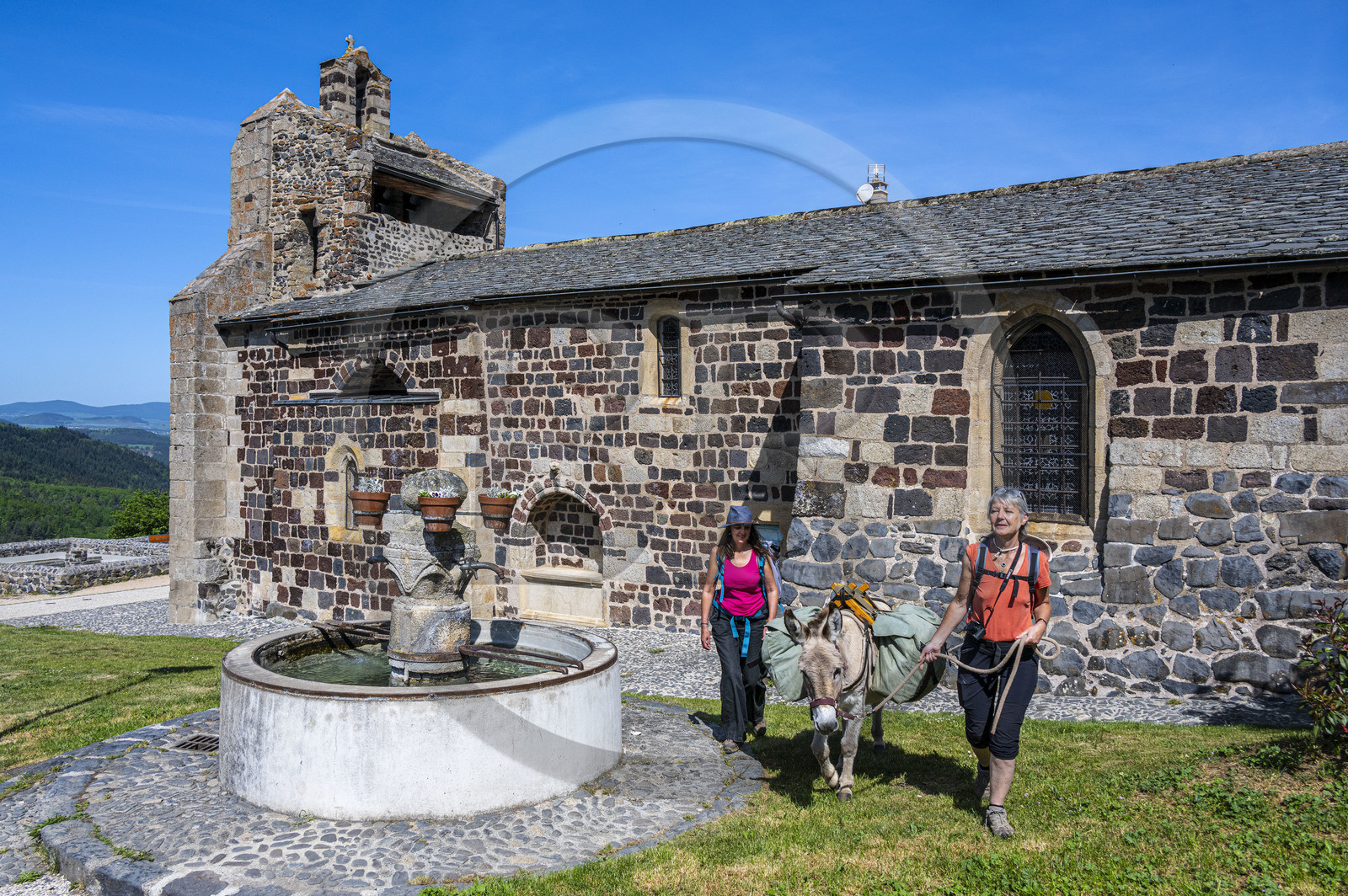 France, Haute-Loire (43), Le Monastier-sur-Gazeille, randonnée avec un âne sur le chemin de Stevenson (GR 70) devant l'église Saint Jean-Baptiste du IXe siècle