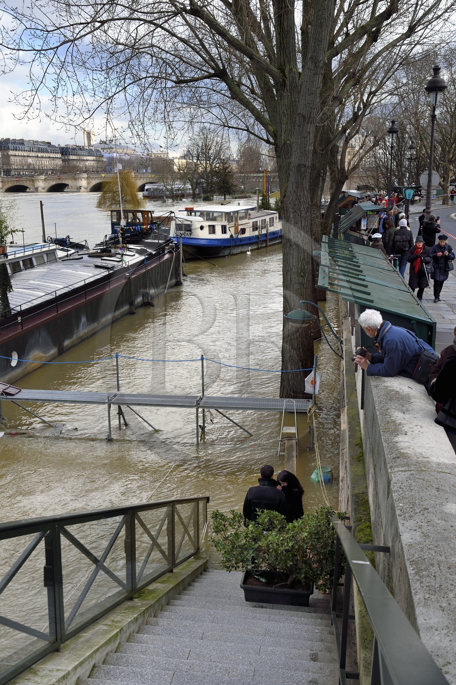 France, Paris (75), les rives de la Seine, classées Patrimoine Mondial de l'UNESCO, le quai de Conti inondé et le Pont Neuf en arrière plan