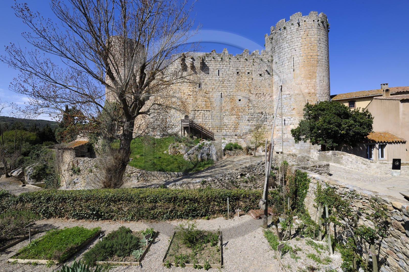 France, Aude (11), château du village cathare de Villerouge-Termenès au cœur des Corbières