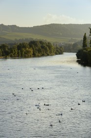 Luxembourg, Grevenmacher district, Moselle region, Remich, the Moselle river marks the border between Germany left and Luxembourg right