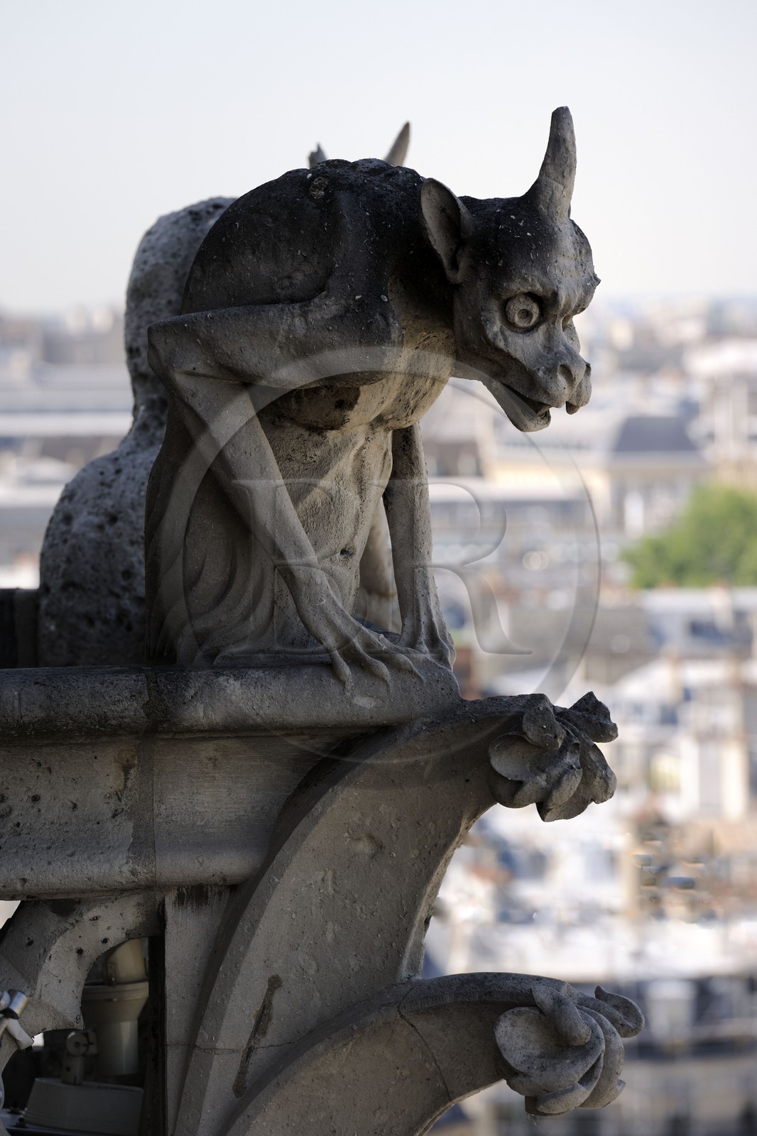 France, Paris (75), île de la Cité, la cathédrale Notre-Dame, les chimères observent la ville