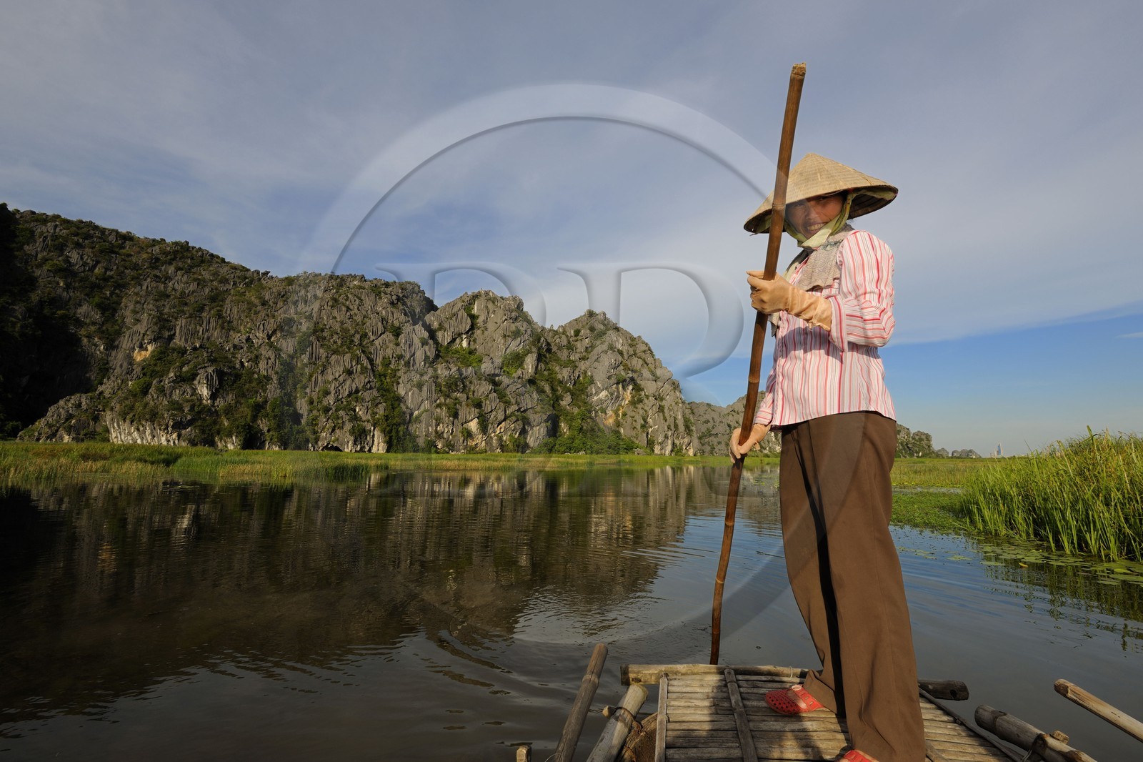 Vietnam, province de Ninh Binh, région surnommée la baie d'Halong terrestre, réserve naturelle de Van Long et ses paysages karstiques